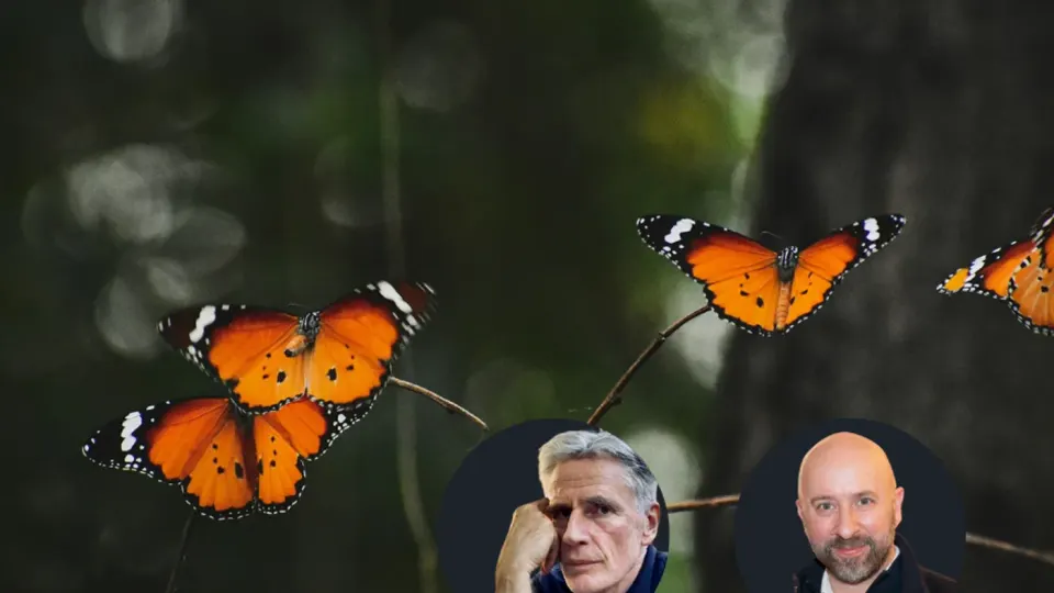 Papillons orange sur fond vert, deux portraits incrustés