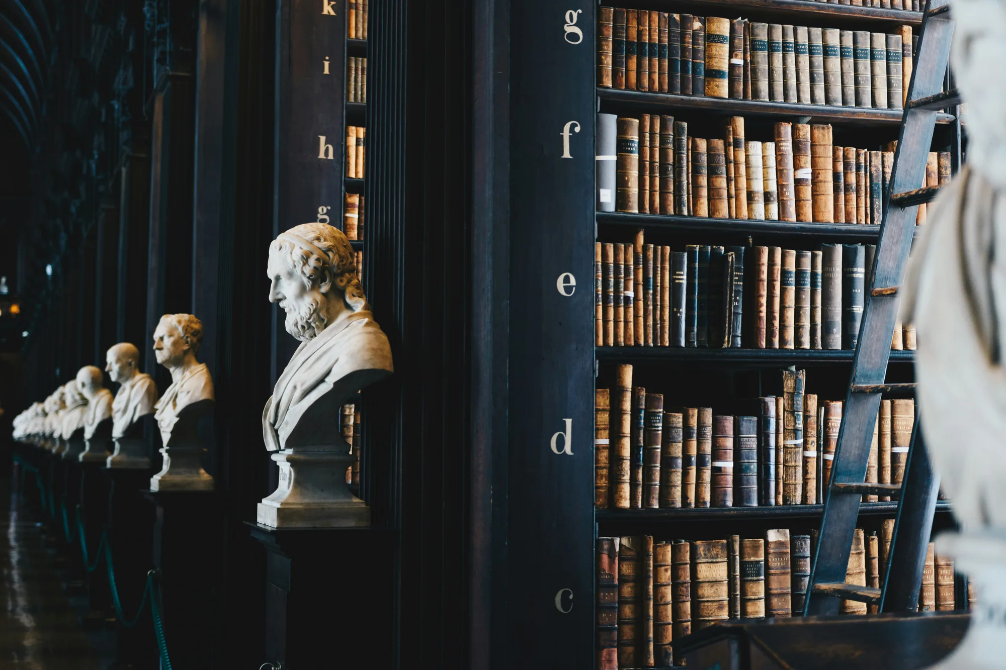 Bibliothèque ancienne, bustes de marbre et rayonnages