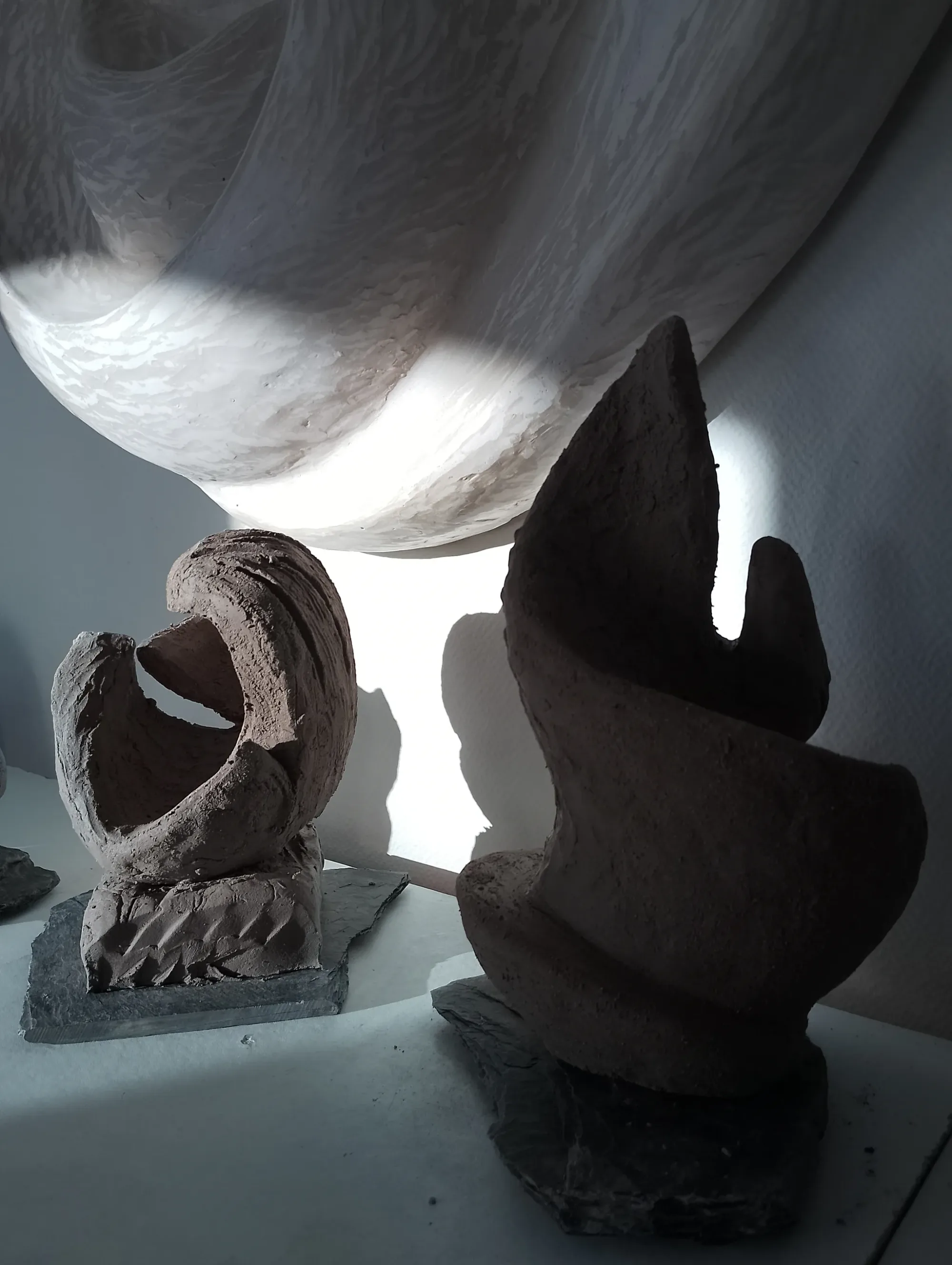 Sculptures d'argile aux formes organiques dans un atelier