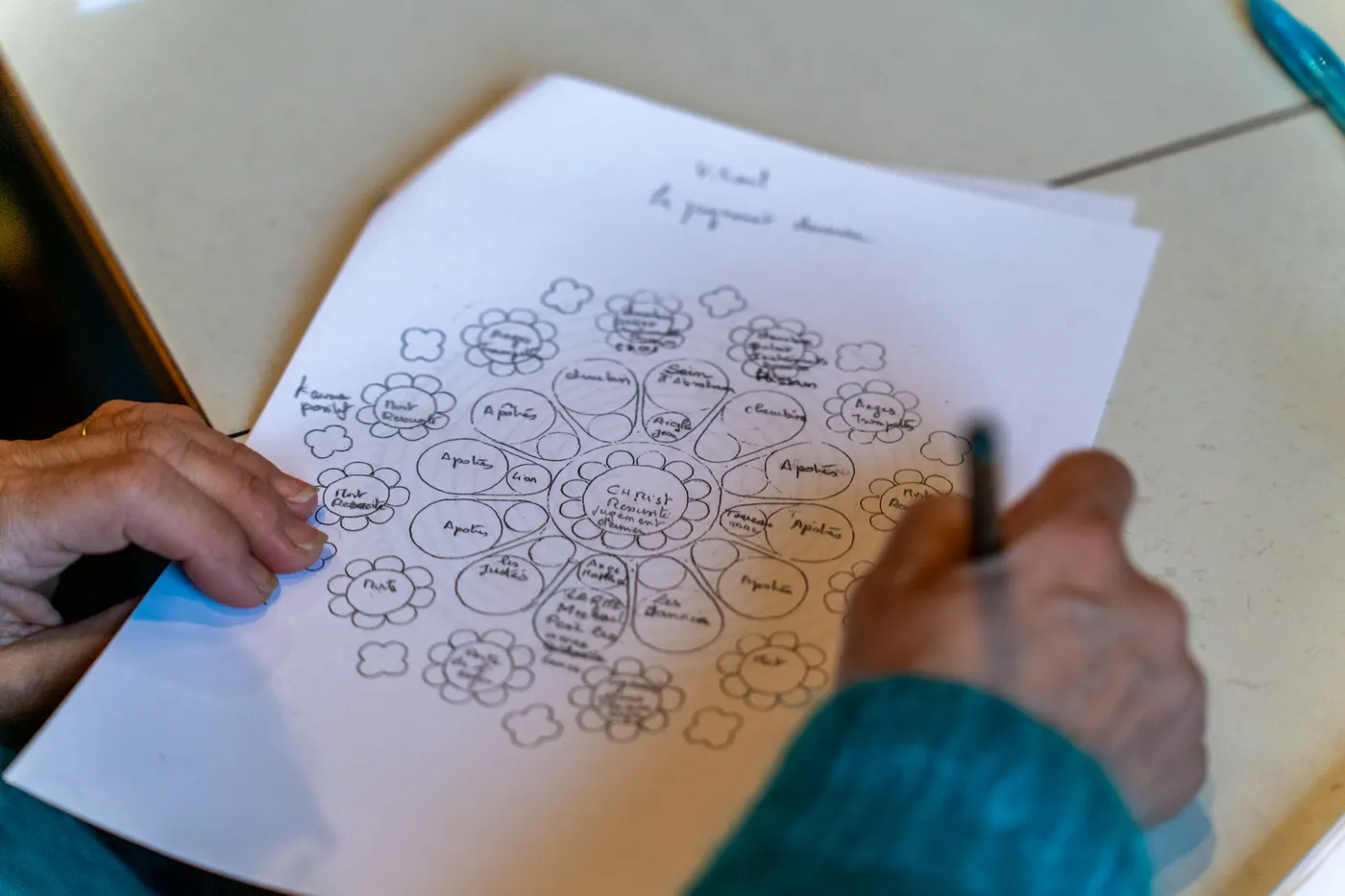 Mains annotant un schéma circulaire manuscrit