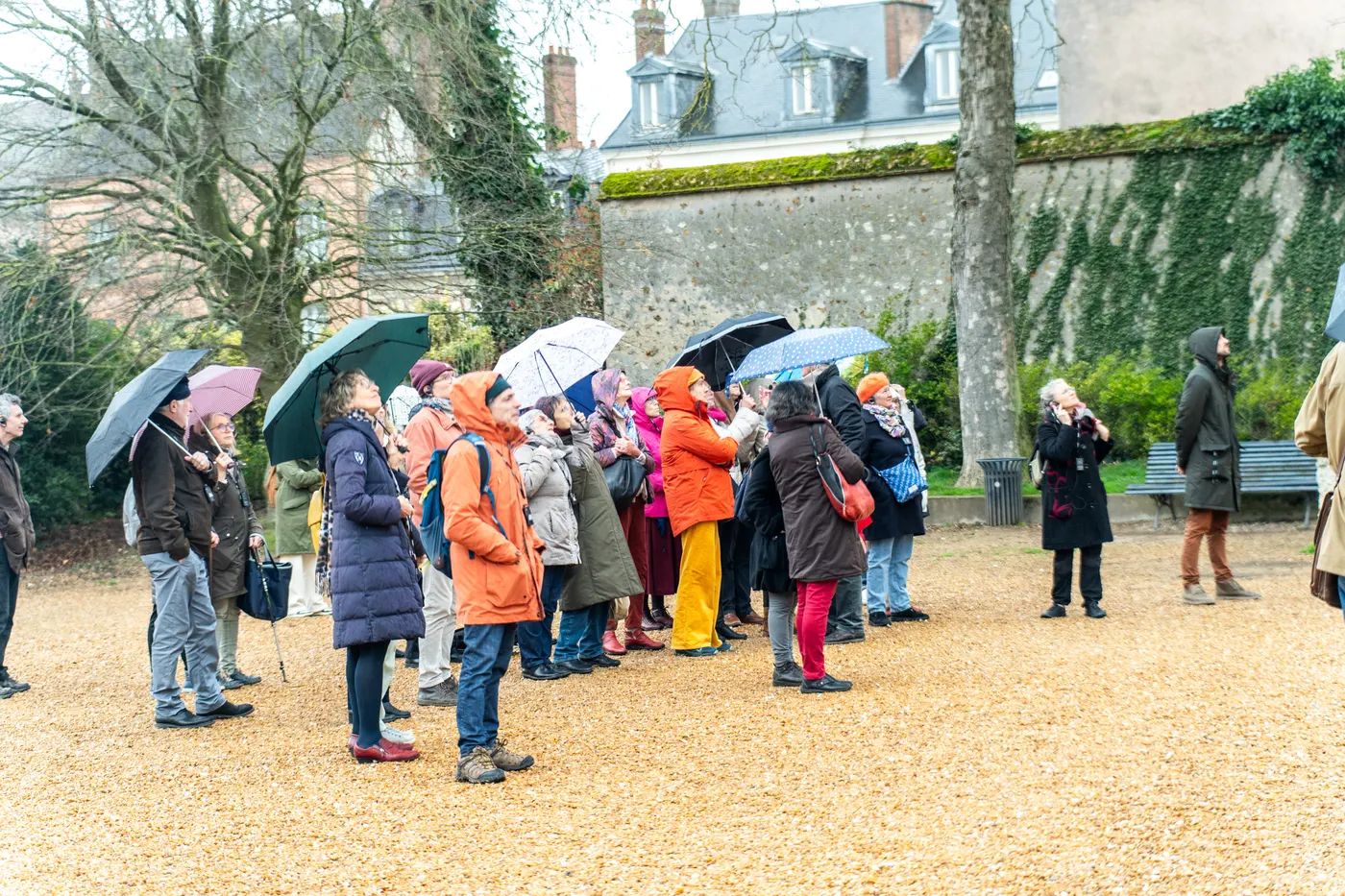 Groupe de visiteurs sous des parapluies dans un parc