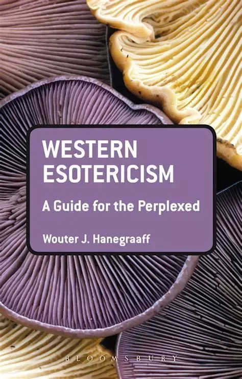 Le livre de Wouter Hanegraaff, spécialiste universitaire de l’ésotérisme: « L'ésotérisme occidental : un guide pour les perplexes. » paru en anglais en 2013 aux éditions Bloomsbury Academic